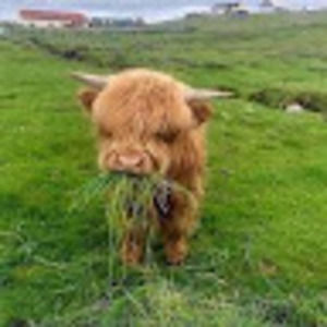 Meet your Posher, Jocelyn